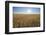 Wheat field with sun in summer, Marktheidenfeld, Franconia, Bavaria, Germany-Raimund Linke-Framed Photographic Print