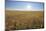 Wheat field with sun in summer, Marktheidenfeld, Franconia, Bavaria, Germany-Raimund Linke-Mounted Photographic Print