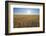 Wheat field with sun in summer, Marktheidenfeld, Franconia, Bavaria, Germany-Raimund Linke-Framed Photographic Print