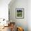 Wheat Field with Wild Flowers on the Edge on Farmland Near Warwick, Warwickshire, England, UK-David Hughes-Framed Photographic Print displayed on a wall