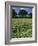 Wheat Field with Wild Flowers on the Edge on Farmland Near Warwick, Warwickshire, England, UK-David Hughes-Framed Photographic Print