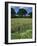 Wheat Field with Wild Flowers on the Edge on Farmland Near Warwick, Warwickshire, England, UK-David Hughes-Framed Photographic Print