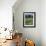 Wheat Field with Wild Flowers on the Edge on Farmland Near Warwick, Warwickshire, England, UK-David Hughes-Framed Photographic Print displayed on a wall