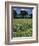 Wheat Field with Wild Flowers on the Edge on Farmland Near Warwick, Warwickshire, England, UK-David Hughes-Framed Photographic Print