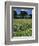 Wheat Field with Wild Flowers on the Edge on Farmland Near Warwick, Warwickshire, England, UK-David Hughes-Framed Photographic Print