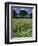 Wheat Field with Wild Flowers on the Edge on Farmland Near Warwick, Warwickshire, England, UK-David Hughes-Framed Photographic Print