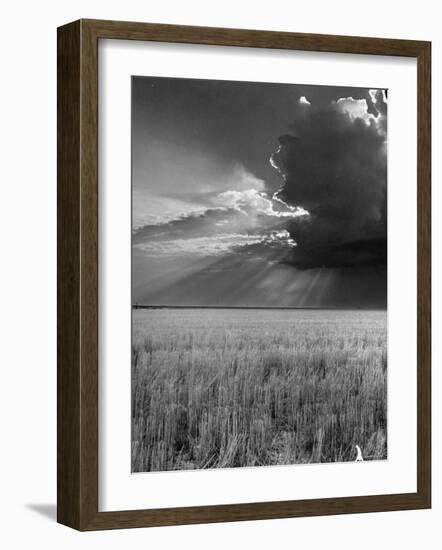 Wheat Field-Ed Clark-Framed Photographic Print