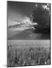 Wheat Field-Ed Clark-Mounted Photographic Print