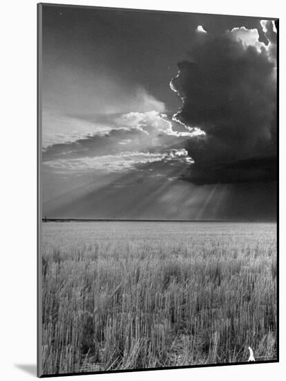 Wheat Field-Ed Clark-Mounted Photographic Print