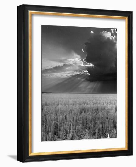 Wheat Field-Ed Clark-Framed Photographic Print