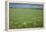 Wheat Field-Bjorn Svensson-Framed Premier Image Canvas