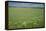 Wheat Field-Bjorn Svensson-Framed Premier Image Canvas