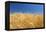 Wheat Field-Craig Tuttle-Framed Premier Image Canvas