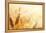 Wheat Field-Iakov Kalinin-Framed Premier Image Canvas