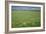 Wheat Field-Bjorn Svensson-Framed Photographic Print