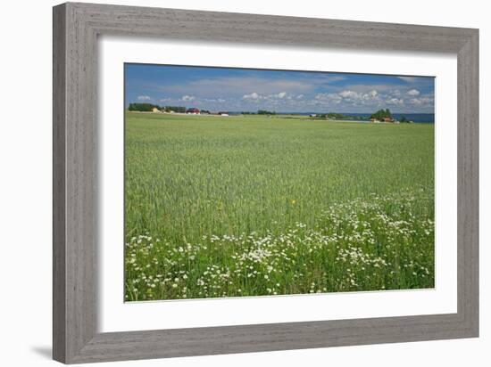 Wheat Field-Bjorn Svensson-Framed Photographic Print