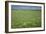 Wheat Field-Bjorn Svensson-Framed Photographic Print