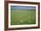 Wheat Field-Bjorn Svensson-Framed Photographic Print