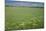 Wheat Field-Bjorn Svensson-Mounted Photographic Print