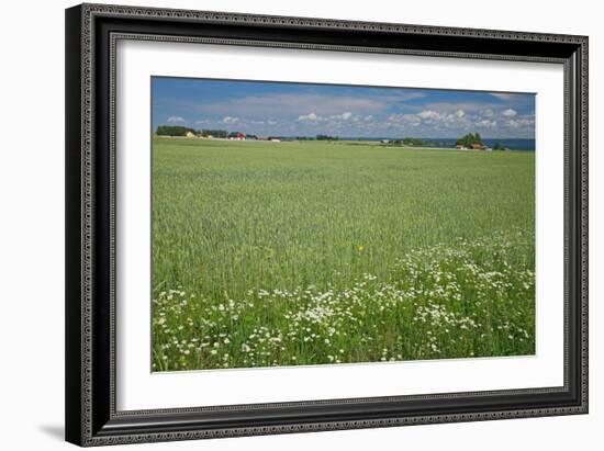 Wheat Field-Bjorn Svensson-Framed Photographic Print