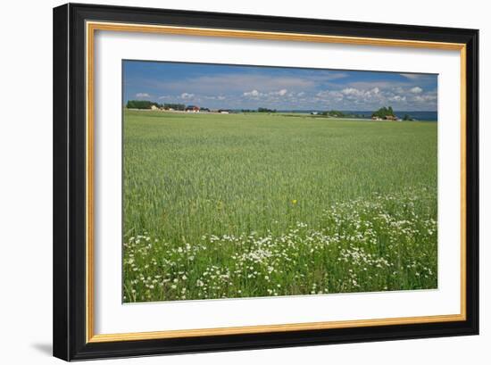 Wheat Field-Bjorn Svensson-Framed Photographic Print