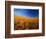 Wheat Field-Darrell Gulin-Framed Photographic Print