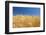 Wheat Field-Craig Tuttle-Framed Photographic Print