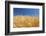 Wheat Field-Craig Tuttle-Framed Photographic Print