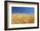 Wheat Field-Craig Tuttle-Framed Photographic Print