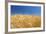 Wheat Field-Craig Tuttle-Framed Photographic Print
