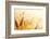 Wheat Field-Iakov Kalinin-Framed Photographic Print