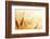 Wheat Field-Iakov Kalinin-Framed Photographic Print