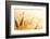 Wheat Field-Iakov Kalinin-Framed Photographic Print