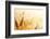 Wheat Field-Iakov Kalinin-Framed Photographic Print