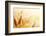 Wheat Field-Iakov Kalinin-Framed Photographic Print