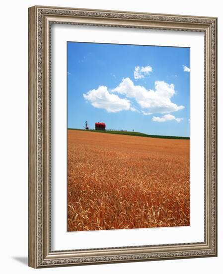 Wheat Field-null-Framed Photographic Print