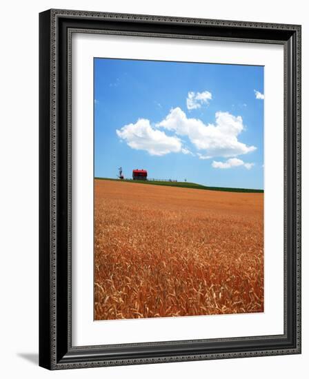 Wheat Field-null-Framed Photographic Print