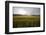 wheat field-Viviane Fedieu Danielle-Framed Photographic Print