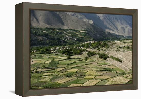 Wheat fields in the Panjshir Valley, Afghanistan, Asia-Alex Treadway-Framed Premier Image Canvas