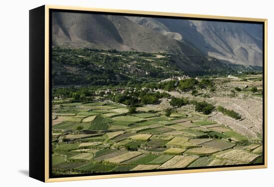 Wheat fields in the Panjshir Valley, Afghanistan, Asia-Alex Treadway-Framed Premier Image Canvas