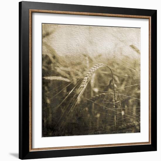 Wheat Fields Mate-Jace Grey-Framed Art Print