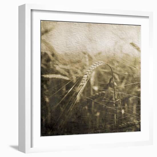 Wheat Fields Mate-Jace Grey-Framed Art Print