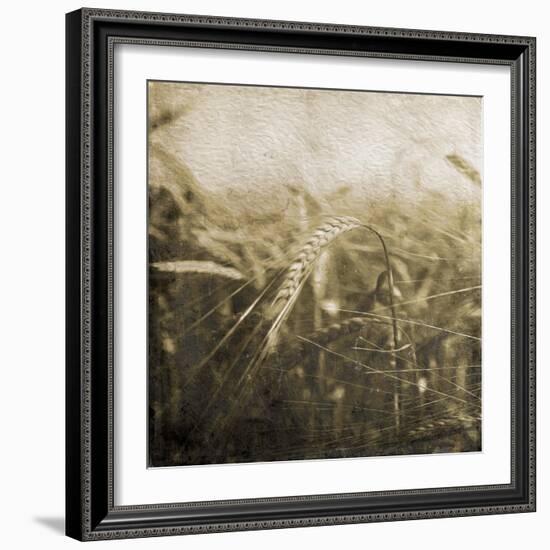 Wheat Fields Mate-Jace Grey-Framed Art Print