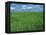 Wheat Fields Near Antequera, Spain-Gary Conner-Framed Premier Image Canvas