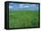 Wheat Fields Near Antequera, Spain-Gary Conner-Framed Premier Image Canvas