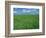 Wheat Fields Near Antequera, Spain-Gary Conner-Framed Photographic Print