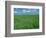 Wheat Fields Near Antequera, Spain-Gary Conner-Framed Photographic Print