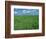 Wheat Fields Near Antequera, Spain-Gary Conner-Framed Photographic Print