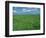Wheat Fields Near Antequera, Spain-Gary Conner-Framed Photographic Print