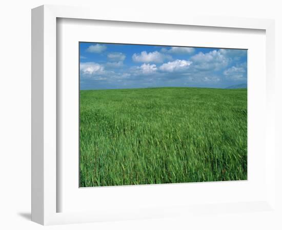 Wheat Fields Near Antequera, Spain-Gary Conner-Framed Photographic Print